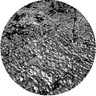 Signal 2 - Original Mix cover art