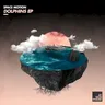 Dolphins cover art