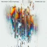 Where Did I Go by Tinlicker cover art