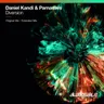 Diversion cover art