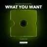 What You Want by Sander van Doorn cover art