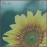 Sun by Mita Gami cover art