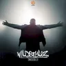 Timeless by Wildstylez cover art