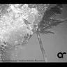 Sky & Sand (original mix) by Paul Kalkbrenner cover art