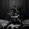 Dobermann cover art