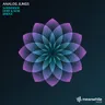 Bridge cover art