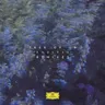 Oltre la vita - SCB Introspection by Tale Of Us cover art