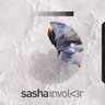 Shoot You Down (Sasha Involv3r remix) cover art