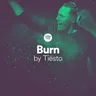 Burn by Tiësto (175) album cover
