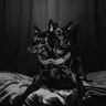 No One Should Walk Alone cover art