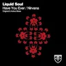 Have You Ever by Liquid Soul cover art