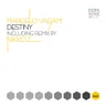 Destiny - Nikko.Z Remix cover art