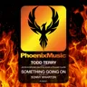 Something Going On - Sonny Wharton Radio Edit by Todd Terry cover art