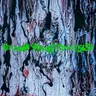 I Can't Believe cover art