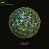 Intentions by Ashibah cover art