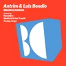 Brain Damage - Analog Jungs Remix cover art