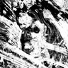 Cygnus cover art