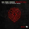 Aggressive Birds - Original Mix cover art
