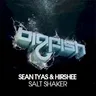Salt Shaker cover art