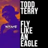 Fly Like an Eagle by Todd Terry cover art