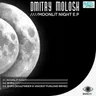 Moonlit Night - Original Mix cover art