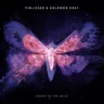 Choir to the Wild by Tinlicker cover art
