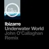 Underwater World - John O’Callaghan Remix by John O'Callaghan cover art