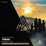 Sys - Rafael Cerato Remix cover art