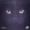 Dry Tears - Coyu Raw Mix cover art