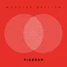 Modular Baptism album cover