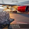 Andante - Extended Mix cover art