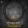 In My Mind by Devin Wild cover art