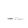 My Chances - 2024 Remaster by Calibre cover art