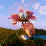 See You in Dreams cover art