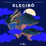 Elegibo (Uma Historia De Ifa) cover art
