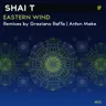 Eastern Wind by Shai T cover art