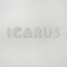 Flowers cover art