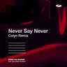 Never Say Never - Colyn Remix cover art