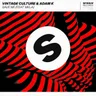Save Me by Vintage Culture cover art