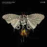 Clap Your Hands by Coyu cover art