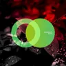 Sativa cover art