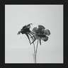 The Escape of the Blvck Rxbbit by Jlin cover art