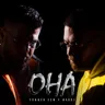 OHA Remix (feat. Luciano) by Luciano cover art