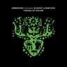 Forces Of Nature - Radio Slave 'New Age Of Love' Remix Part I - Extended by Radio Slave cover art