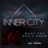 What You Don't Know - Dub Mix cover art