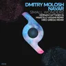 Small Wonders - Hernan Cattaneo & Marcelo Vasami Remix by Dmitry Molosh cover art