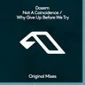 Why Give Up Before We Try (extended mix) cover art
