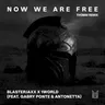 Now We Are Free by Blasterjaxx cover art