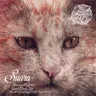 Can't Deny cover art