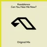 Can You Hear Me Now? cover art